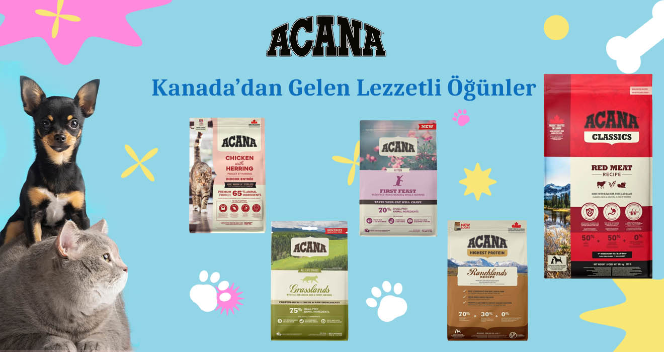 Acana_kedi_kopek_mamasi